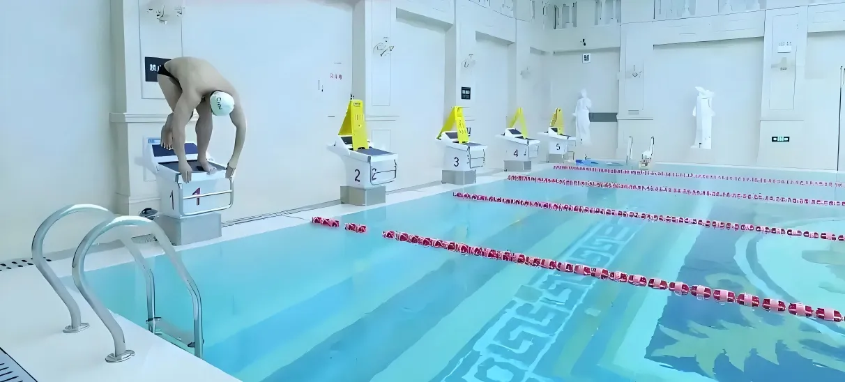 202501101113131 202501101113131